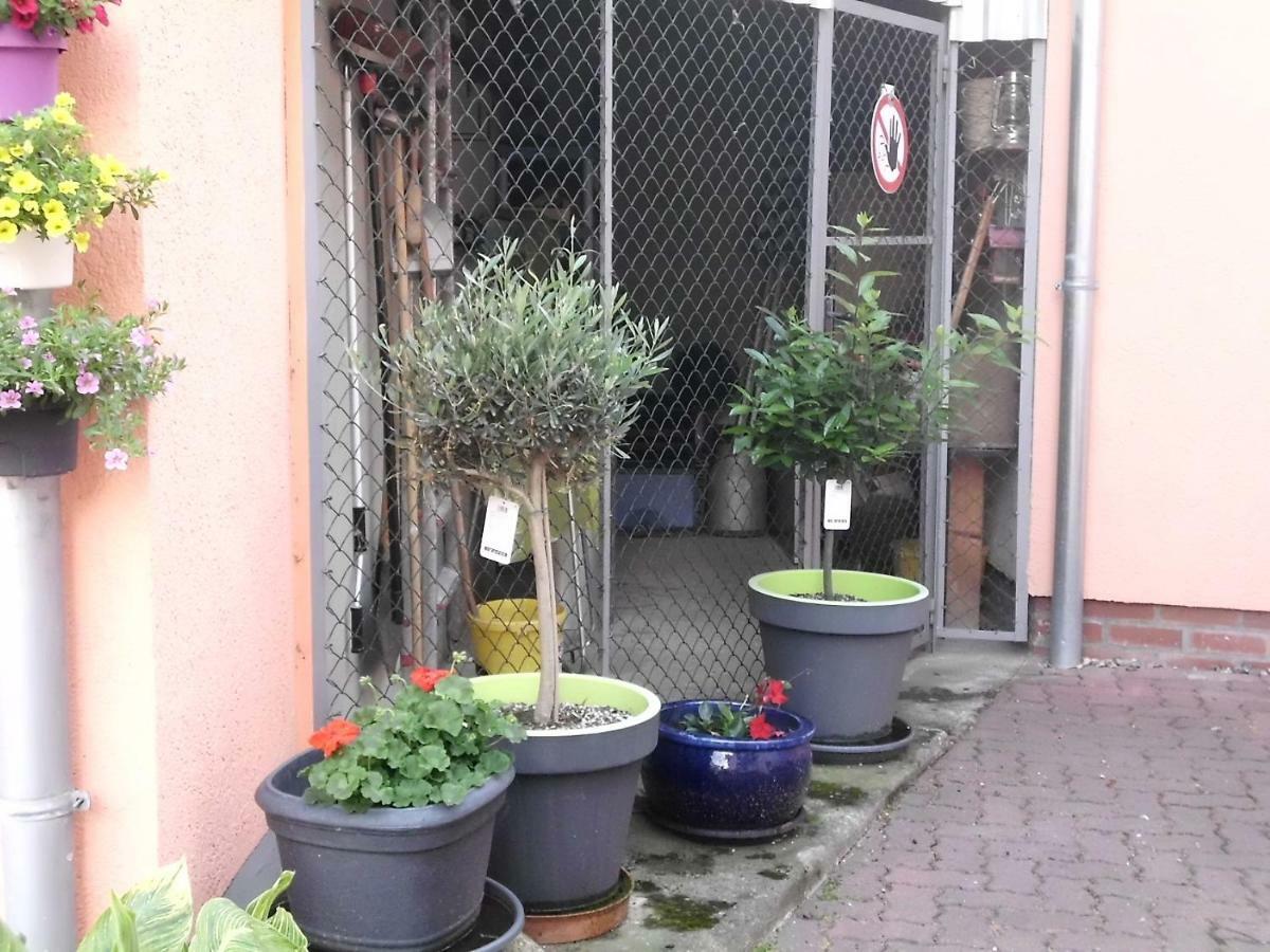 Am Erxleben-Hotel Quedlinburg Luaran gambar